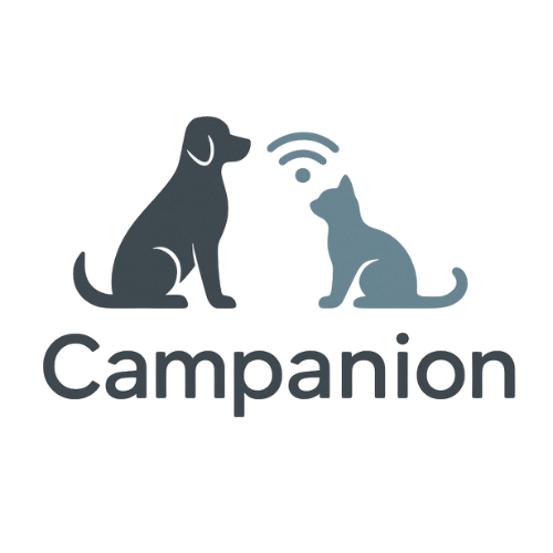 CamPanion